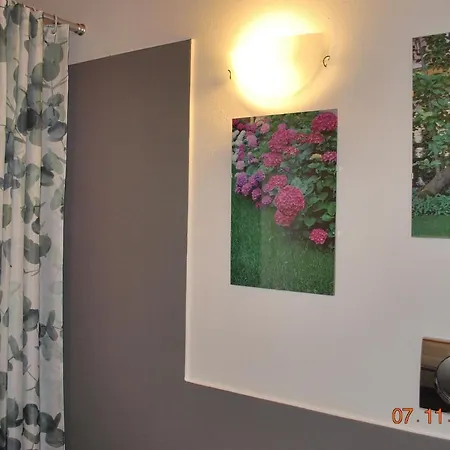 Castagnola Apartment